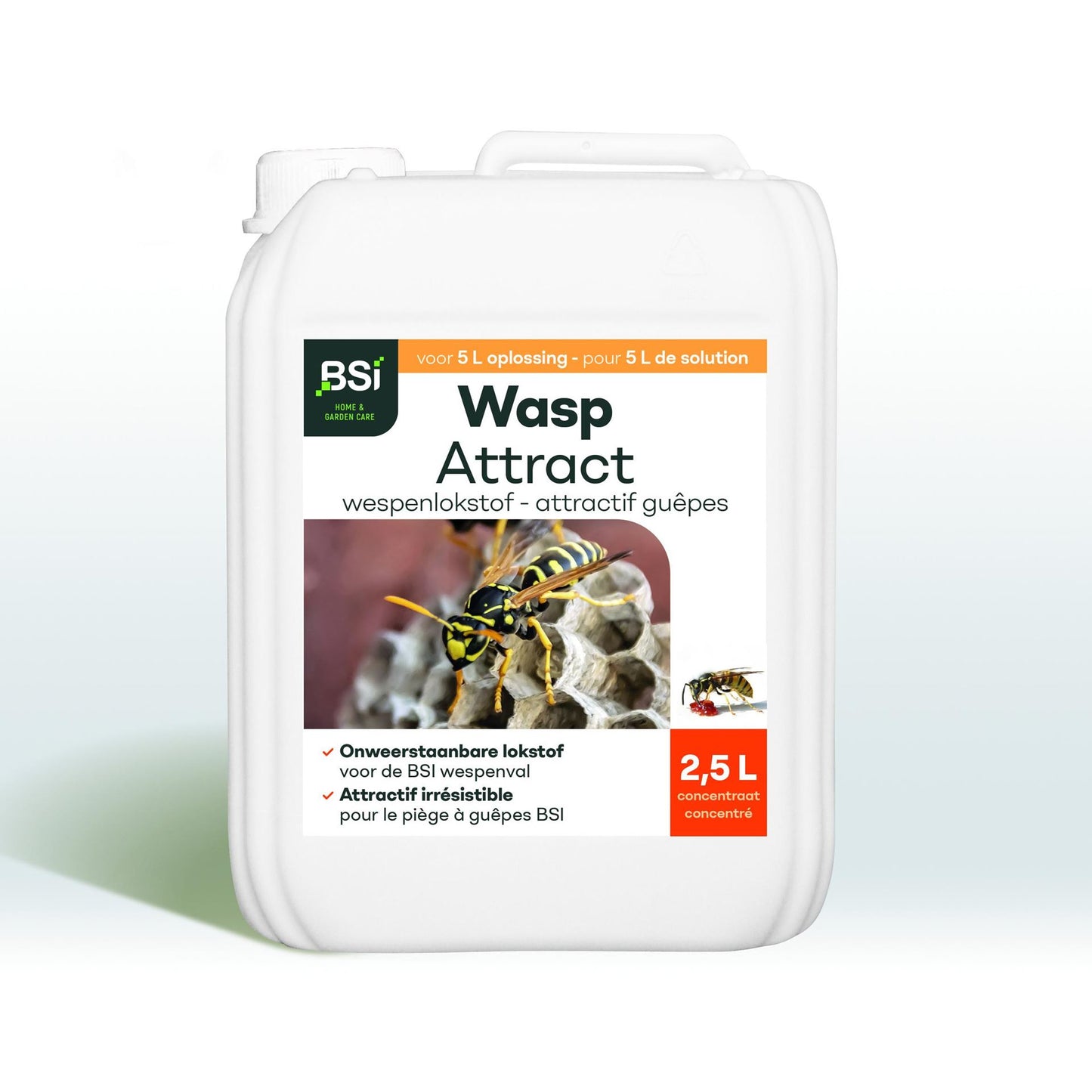 BSI Wasp Attract
