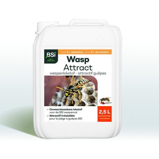 BSI Wasp Attract
